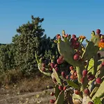 Iliovasilema Aparthotel 4*