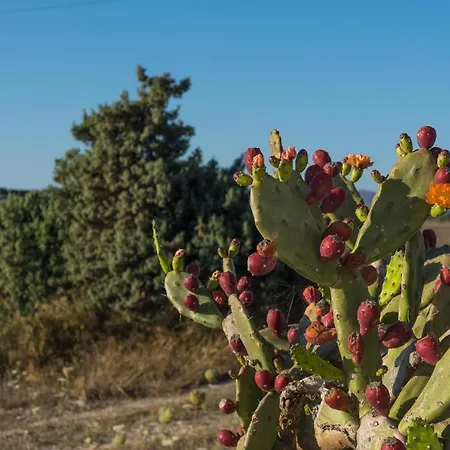 Iliovasilema Aparthotel 4*